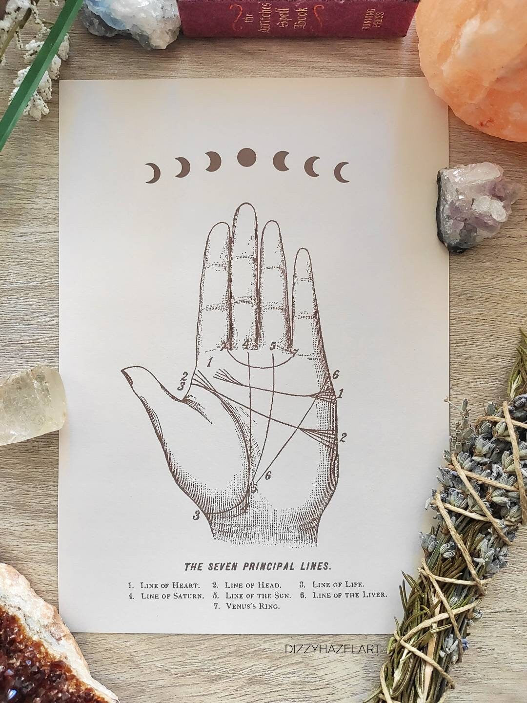 Palmistry Principle Lines Prints