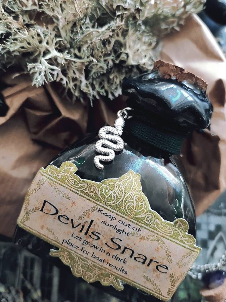 Devils Snare Cutting Potion